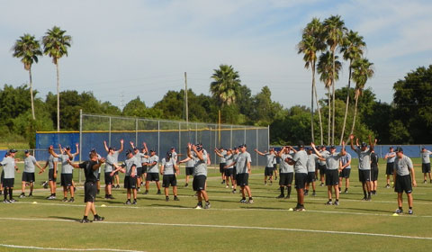 Instructional League thumb
