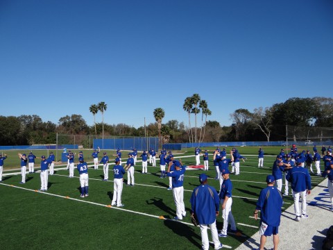 2-17-14jays1_ Blue jays 122