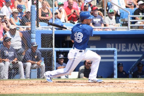 Steve Tolleson was an offensive Juggernaut for the Jays, going 2 for 4 with a homer and two RBI.  Also a swiped bag, see below.  (EDDIE MICHELS PHOTO)