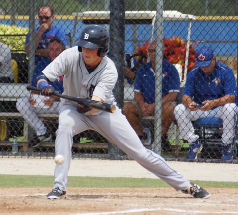 Canadian Cole Bauml got one of the five Tigers hits against the Blue Jays in a 7-1 loss during the GCL semi finals on Sunday at the Mattick Complex. Bauml, shown here dropping down a sacrifice bunt also had an infield single. (EDDIE MICHELS PHOTO)
