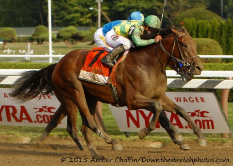 2015 Travers Champion KEEN ICE (Amber Chalfin / Down the Stretch Photos)