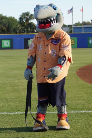 Clearwater Mascot Phinley Hasn't Mastered the Excerise Straps in Dunedin. (EDDIE MICHELS PHOTO)